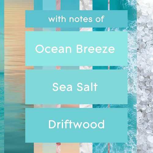 Glade PlugIns Refills Air Freshener - Sky & Sea Salt Scented Oils | 10 Count Pack (2 x 0.67 Fl Oz)