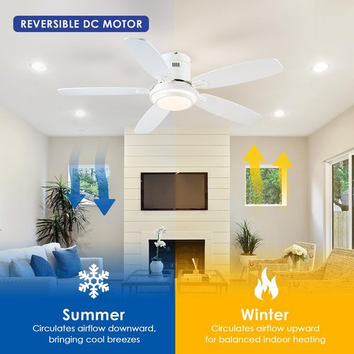 Hounberi Low Profile Ceiling Fan with Lights and Remote/APP, 50 Inch Modern Flush Mount Ceiling Fan with 3CCT 6-Speeds Quiet DC Motor,Dimmable 3-Color Temperatures for Living Room Bedroom(White)