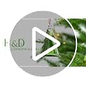 2026 Green Crystal Christmas Tree Ornament Suncatcher - Holiday Decor