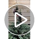 Creepy Krampus Christmas Tree Topper - 10 Inch Halloween Holiday Decor