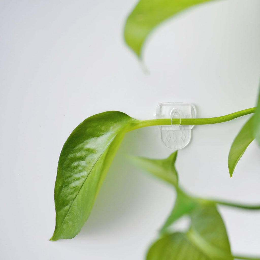 MOVELYST Mini Clear Light Clips - 100 Damage-Free Indoor Wall Hooks with 120 Adhesive Strips for Easy Christmas Decoration