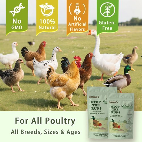 Chicken Gut Modulator - Natural Anti-Diarrhea Powder for Poultry | 10 oz Supplement for Ducks & Geese