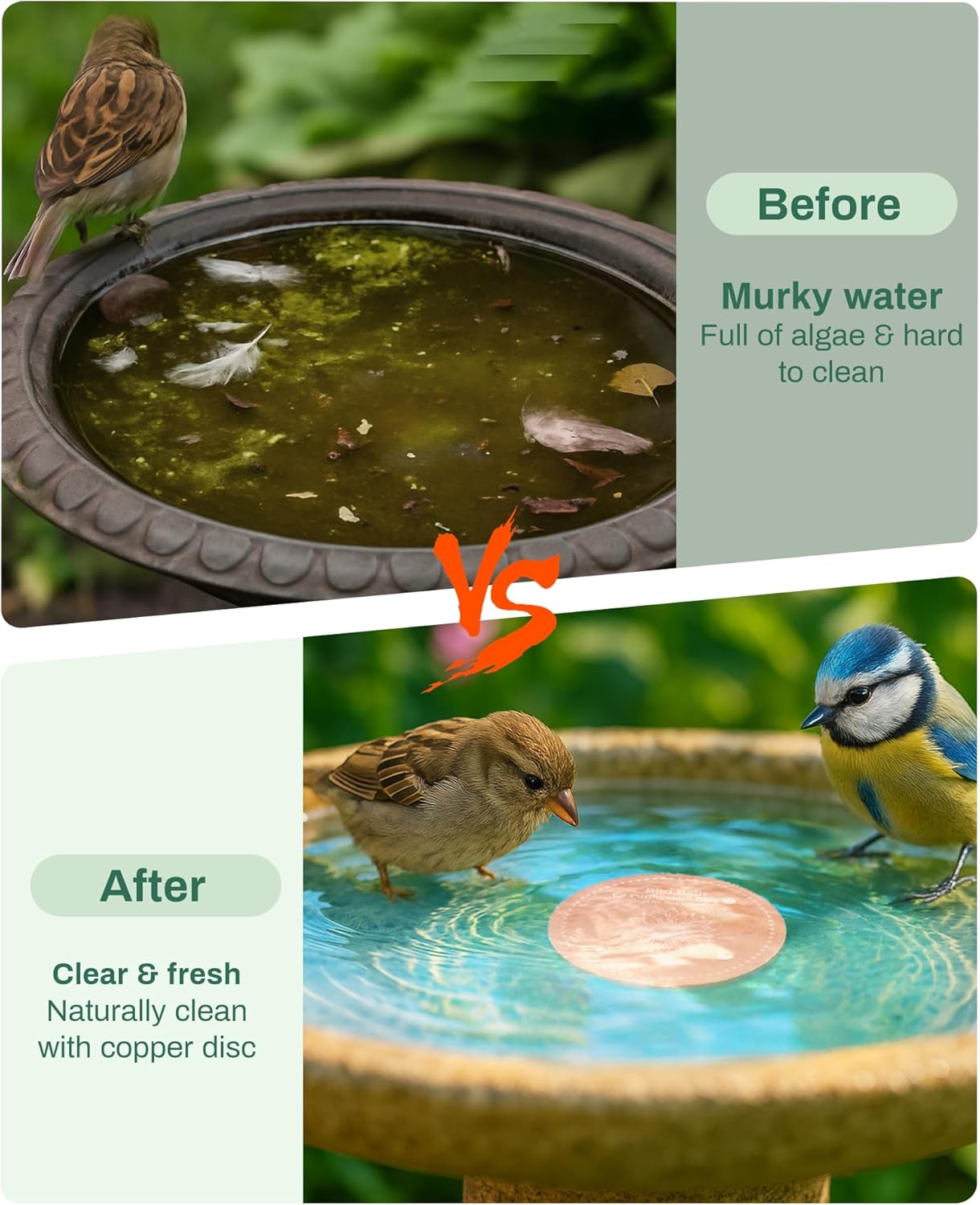 Skiennix Bird Bath Purification Disk - Solar-Powered Copper Fountain for Hummingbirds & Bees