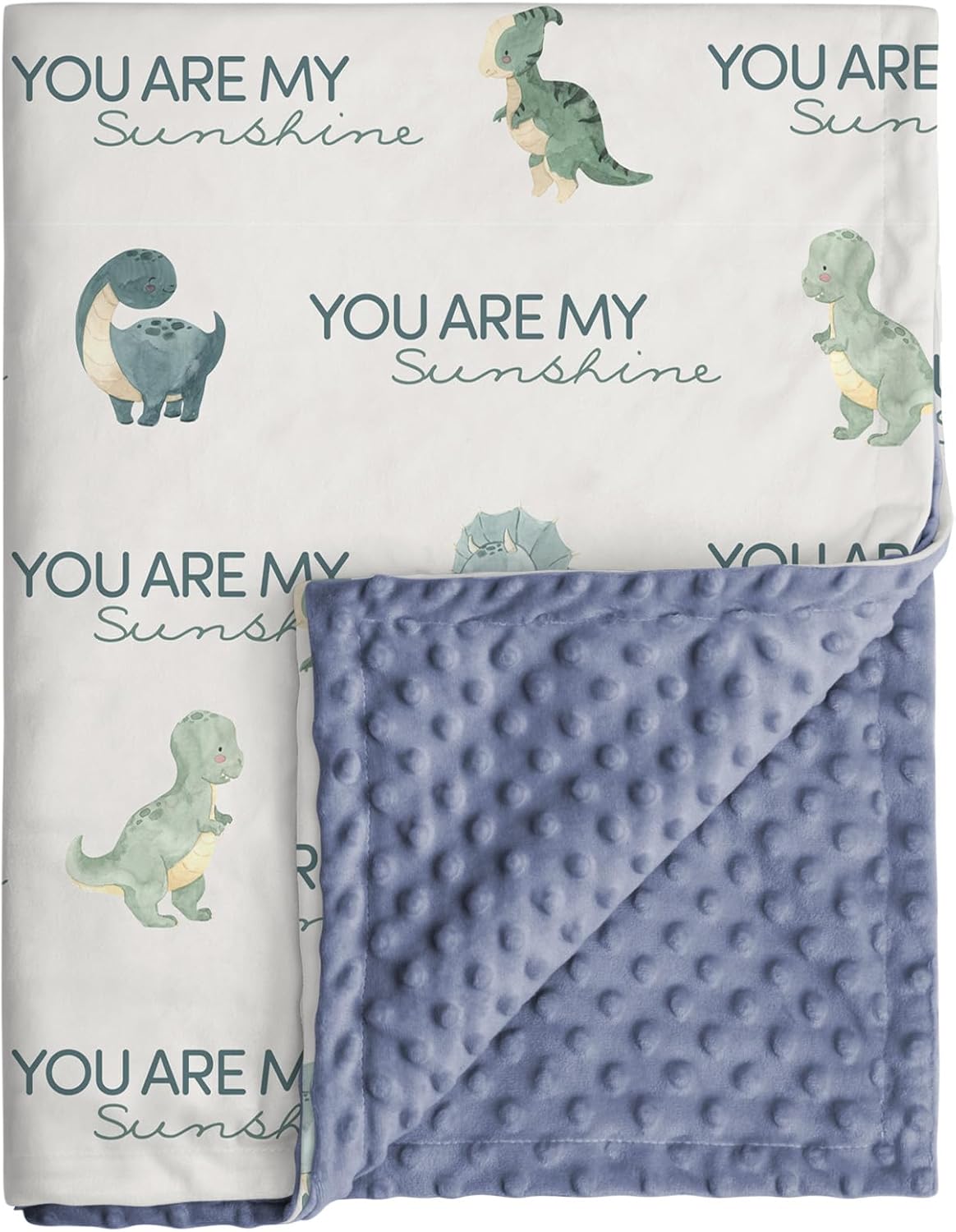 Skiennix Dinosaur Baby Blanket - Super Soft Double Layer Minky Nursery Throw (30" x 40") - Blue