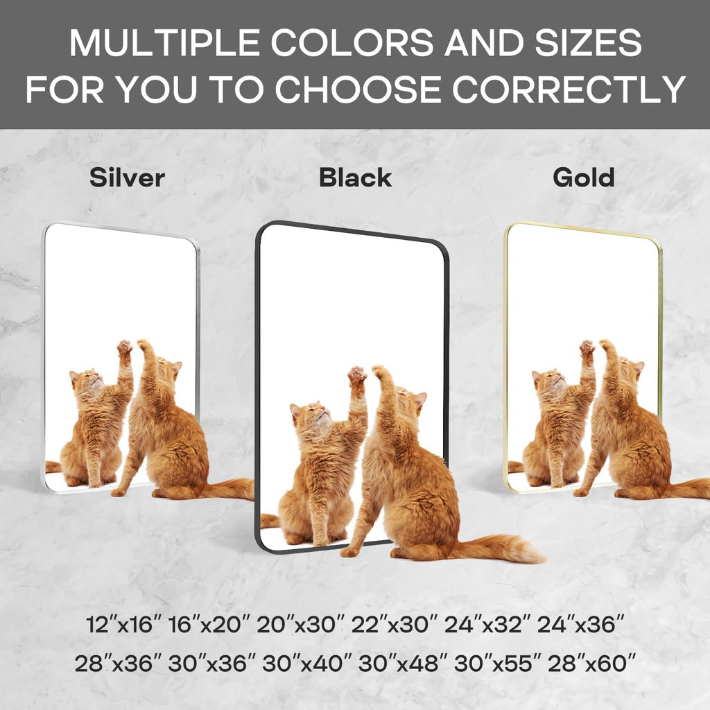 Regine Switzerland Black Framed Bathroom Mirror - Matte Rounded Corner Design | 24" x 32" Tempered Glass