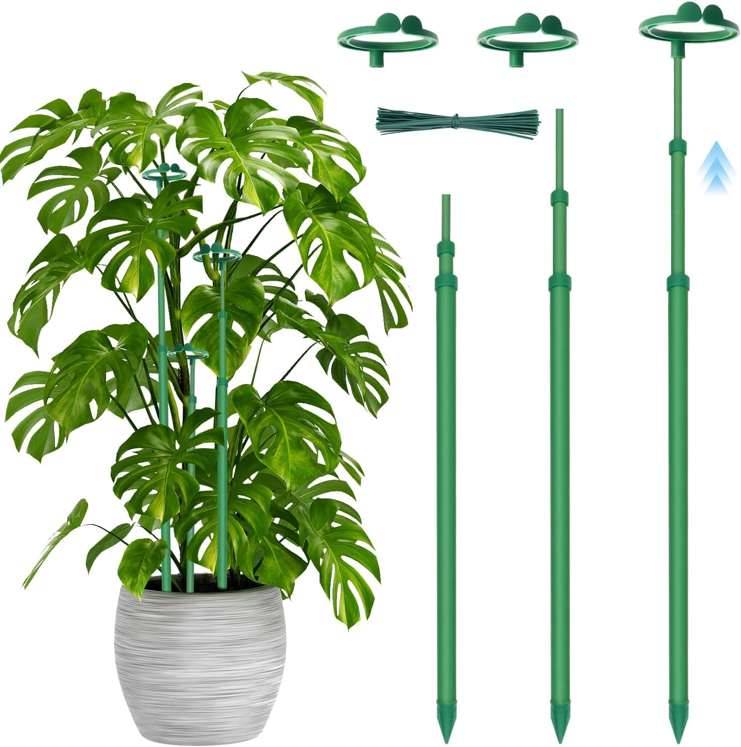 **Telescoping Plant Stakes by [Brand Name] - Adjustable 17.9" to 42.3" Support for Monstera, Orchids & Vines**