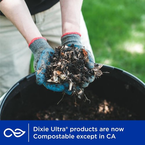 Dixie Ultra Large Paper Plates - 11 Inch, Heavy Duty & Microwave-Safe, 25 Count for Messy Meals