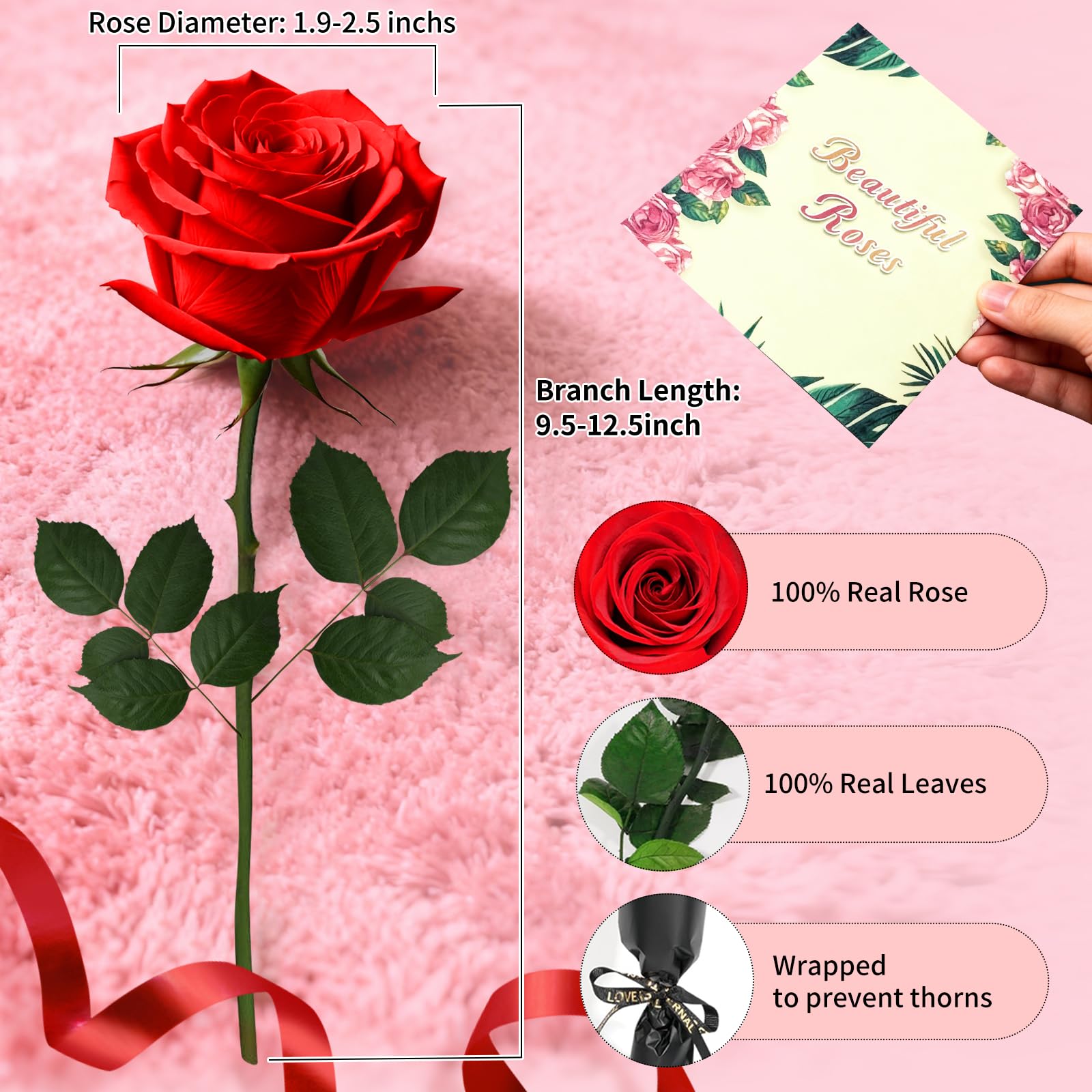 Leebean Single Forever Roses Luxury Gift for Women/Men, Birthday Gifts for Women,Flowers Gifts for Girlfriend,Wife,Mom,Anniversary,Valentine's Day,Wedding,Graduation,Presents for Her,Red