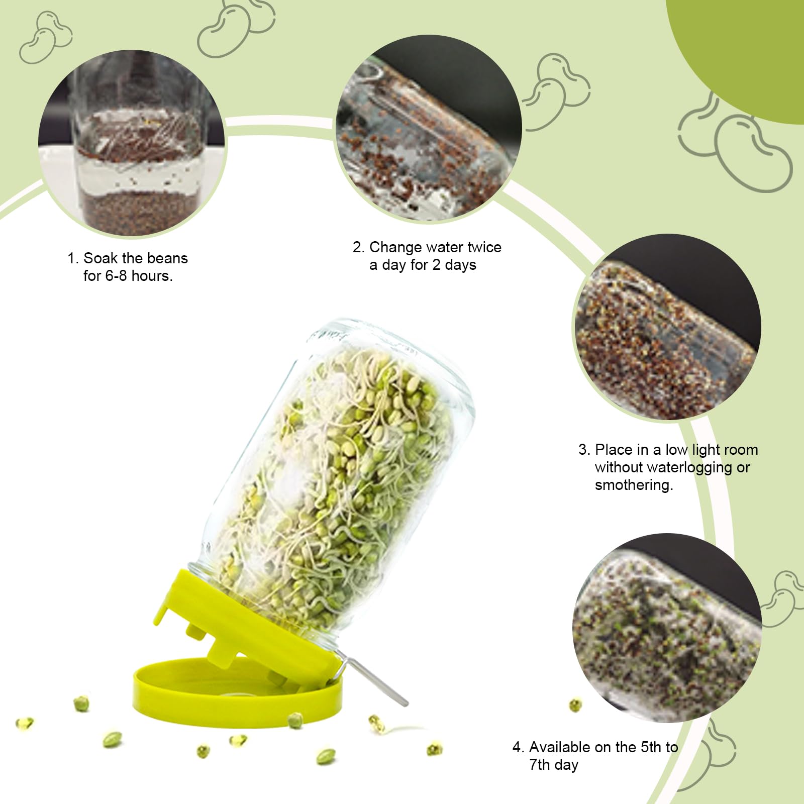 Wide Mouth Mason Jar Sprouting Kit with Sprouting Lids and Drainage Tray - Ideal for Bean, Alfalfa Sprouts and Microgreens, Vertical and Angled Placement Support（One lid and one drip tray）