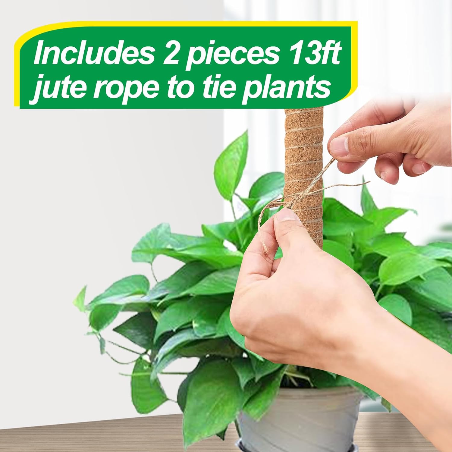 Skiennix 6 Pack Moss Poles for Monstera Plant Support - Stackable 4x17in & 2x12in, Ideal for Indoor Plants
