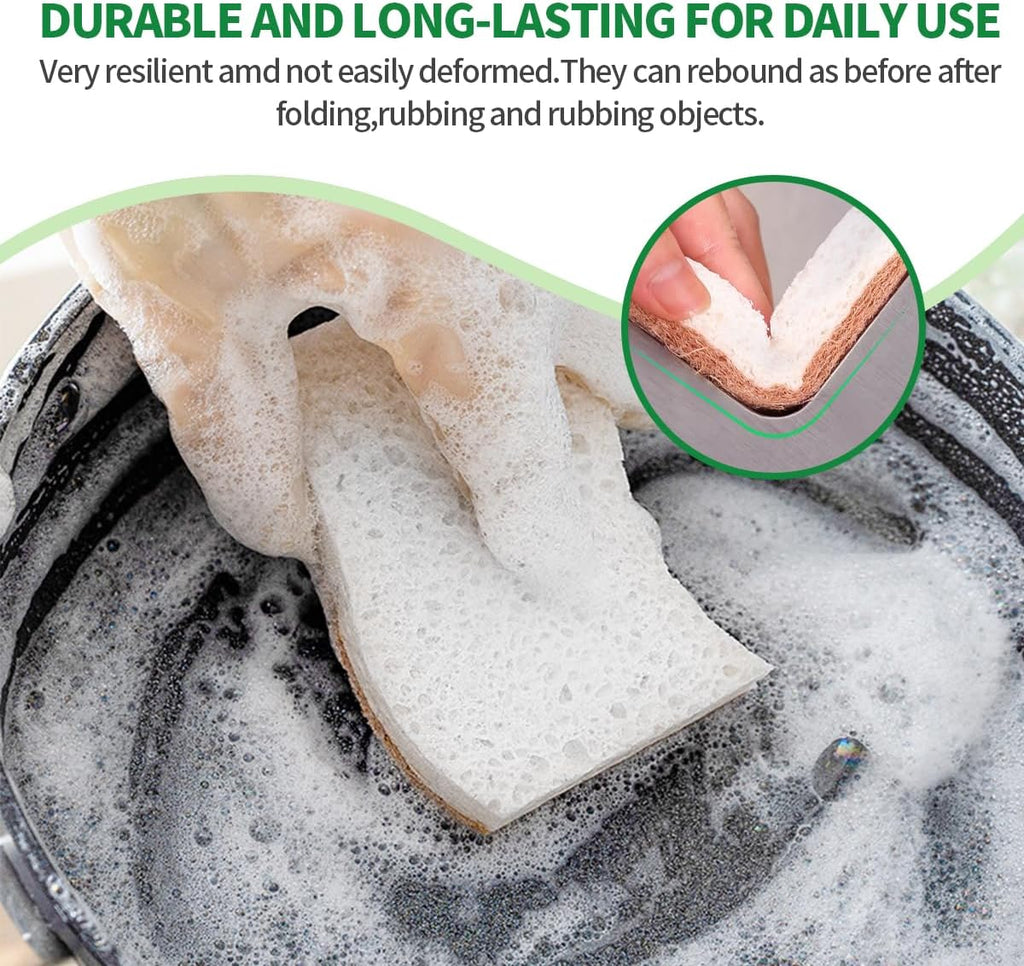 Natural Dish Sponges | Plant-Based Biodegradable Cellulose with Coconut Scrubber - Eco-Friendly (Pack of 12)