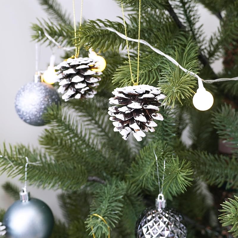 Winlyn White Frosted Pinecone Christmas Ornaments Set of 30 with Gold Hanging Strings - Snowy Natural Pine Cones for Tree, Wreath, Garland (Variation: White)