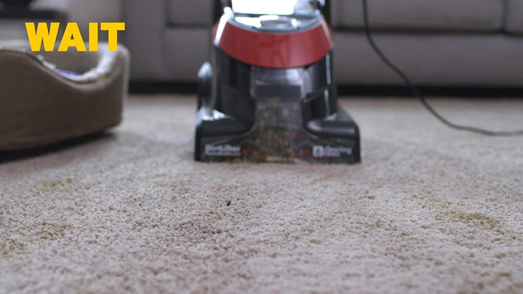 ZEP INC Carpet Shampoo - Powerful Stain Removal | 128 Fl Oz Clear Formula