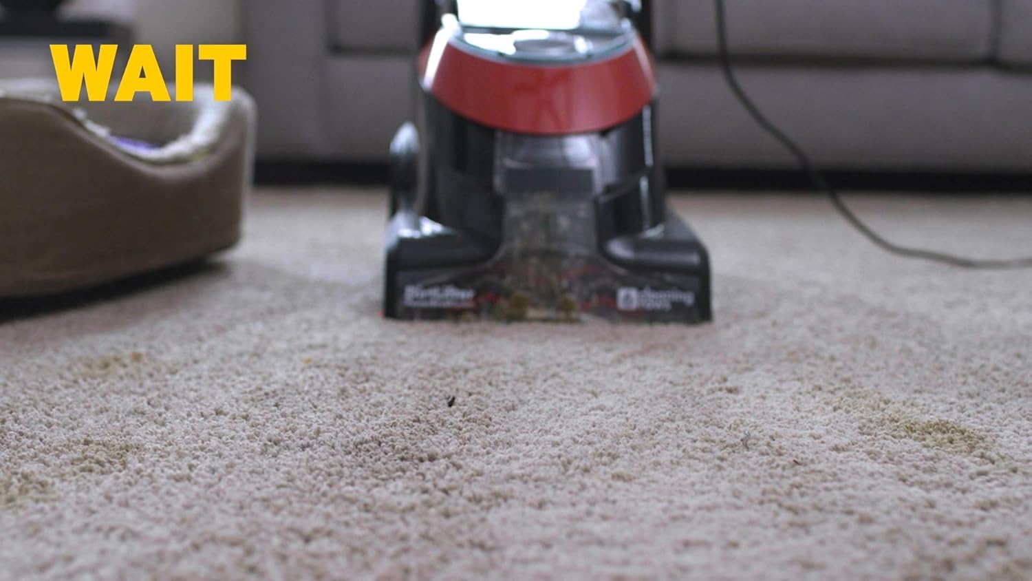 ZEP INC Carpet Shampoo - Powerful Stain Removal | 128 Fl Oz Clear Formula