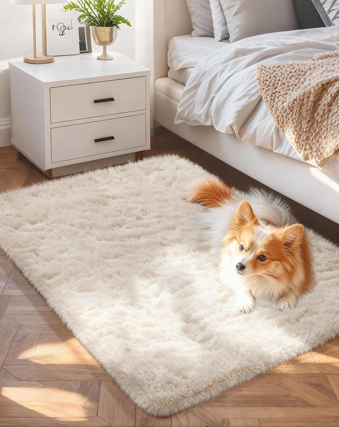 Ophanie Small Ivory Throw Rug - Soft Non-Slip Mini Area Rug for Bedroom | 2x4 Fluffy Carpet