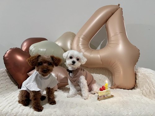40 Inch Large Light Brown Number 4 Balloon by [Brand Name] - Perfect for Birthdays & Graduations