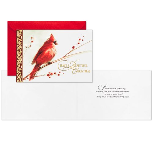 Hallmark Boxed Christmas Cards, Painted Cardinal (40 Cards and 40 Envelopes) Beautiful Christmas