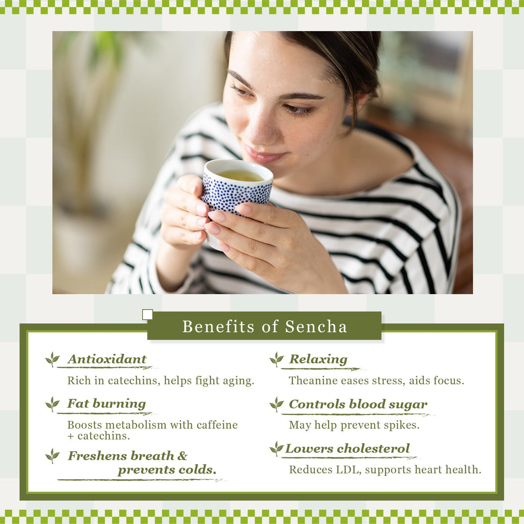 Sencha Green Tea – Organic Japanese Green Tea Loose Leaf, 80g Organic Loose Leaf by HAJIME