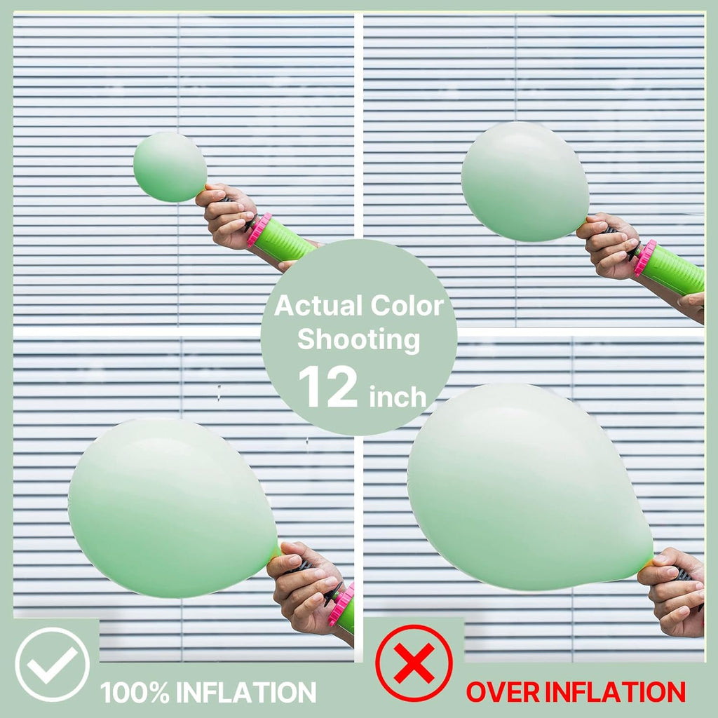 PartyWoo Pastel Green Balloons - 50 Mini 5-Inch Latex Balloons for Birthday & Baby Shower Decor