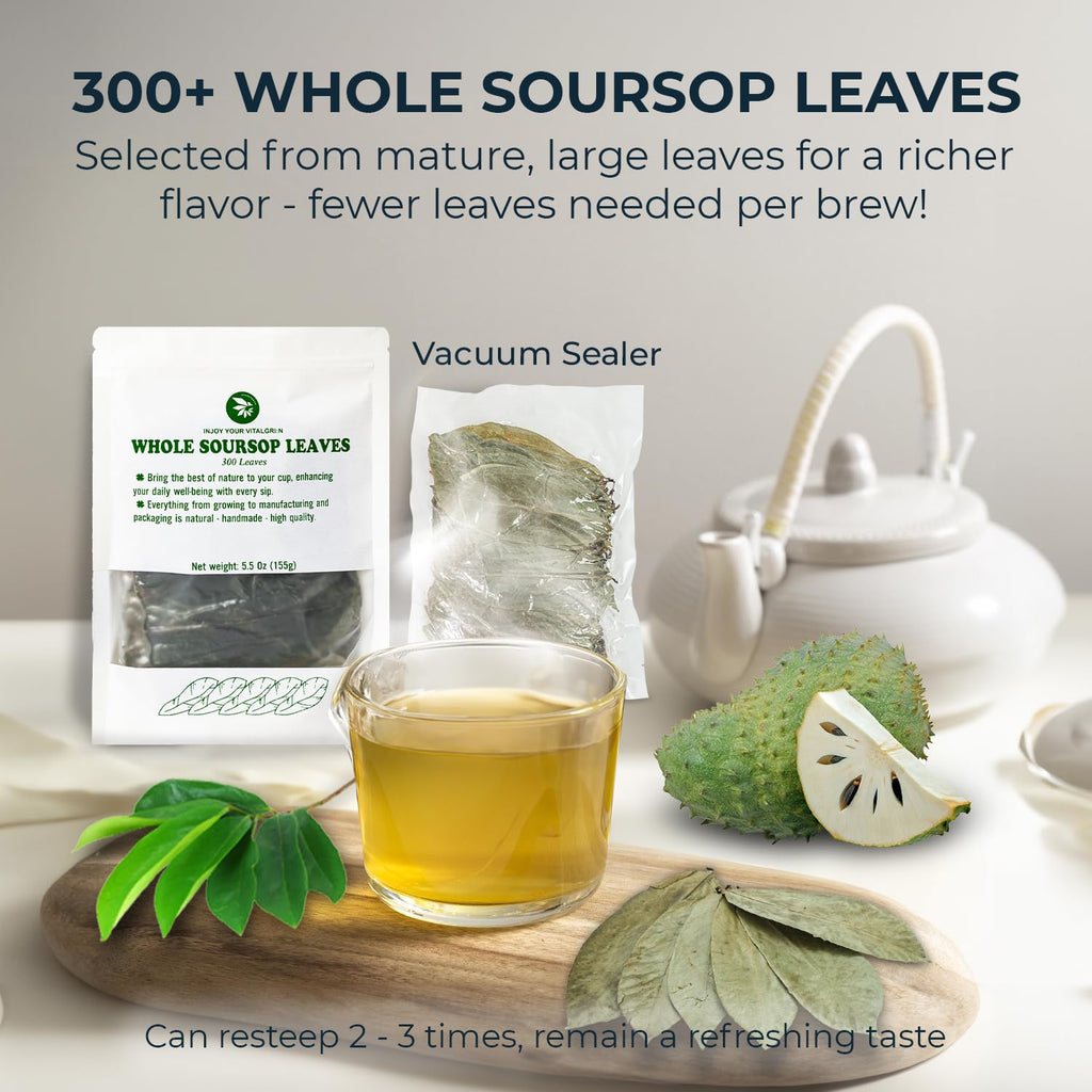 Soursop Leaf Tea – Up to 350 Dried Whole Leaves, 5.5 oz, Graviola Herbal Tea, Handpicked, Naturally Caffeine Free, Re-Steepable Loose Leaf, Smooth & Refreshing Flavor, Makes 100+ Cups