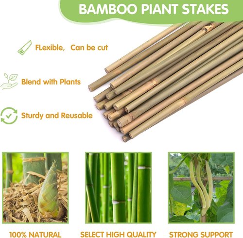 GAGINANG Bamboo Garden Stakes - 4.8FT Sturdy Natural Trellis Support for Tomatoes, Vegetables & Climbing Plants | 20 Pack
