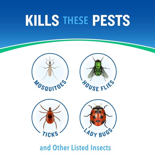Cutter Essentials Bug Control Spray - Kills Mosquitoes on Contact | Effective Insect Repellent