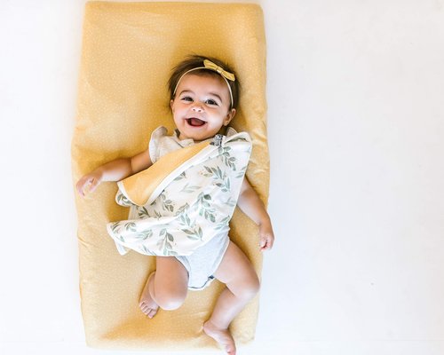 Copper Pearl Baby Security Blanket Set of 2 - Portable Size for Self-Soothing On-The-Go, Ideal Baby Blankets for Boys and Girls, Ultra-Soft, and Gift-Ready Loveys - Fern