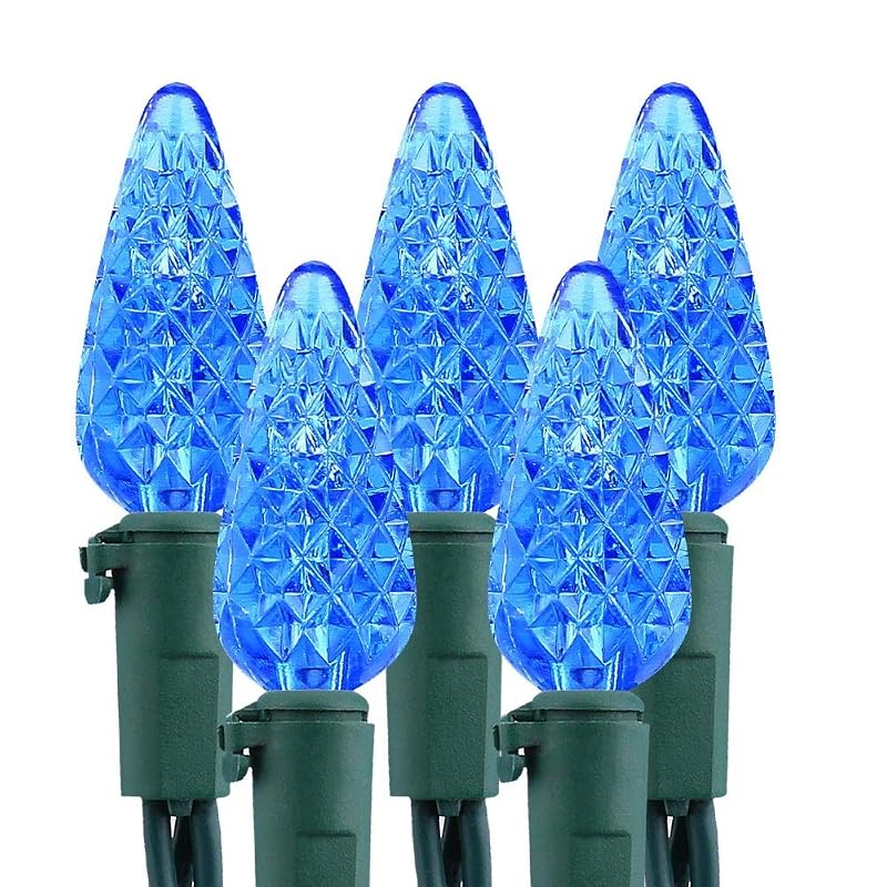 Blue 100 LED Christmas Lights String - 33 ft, Indoor/Outdoor - Brizled C5