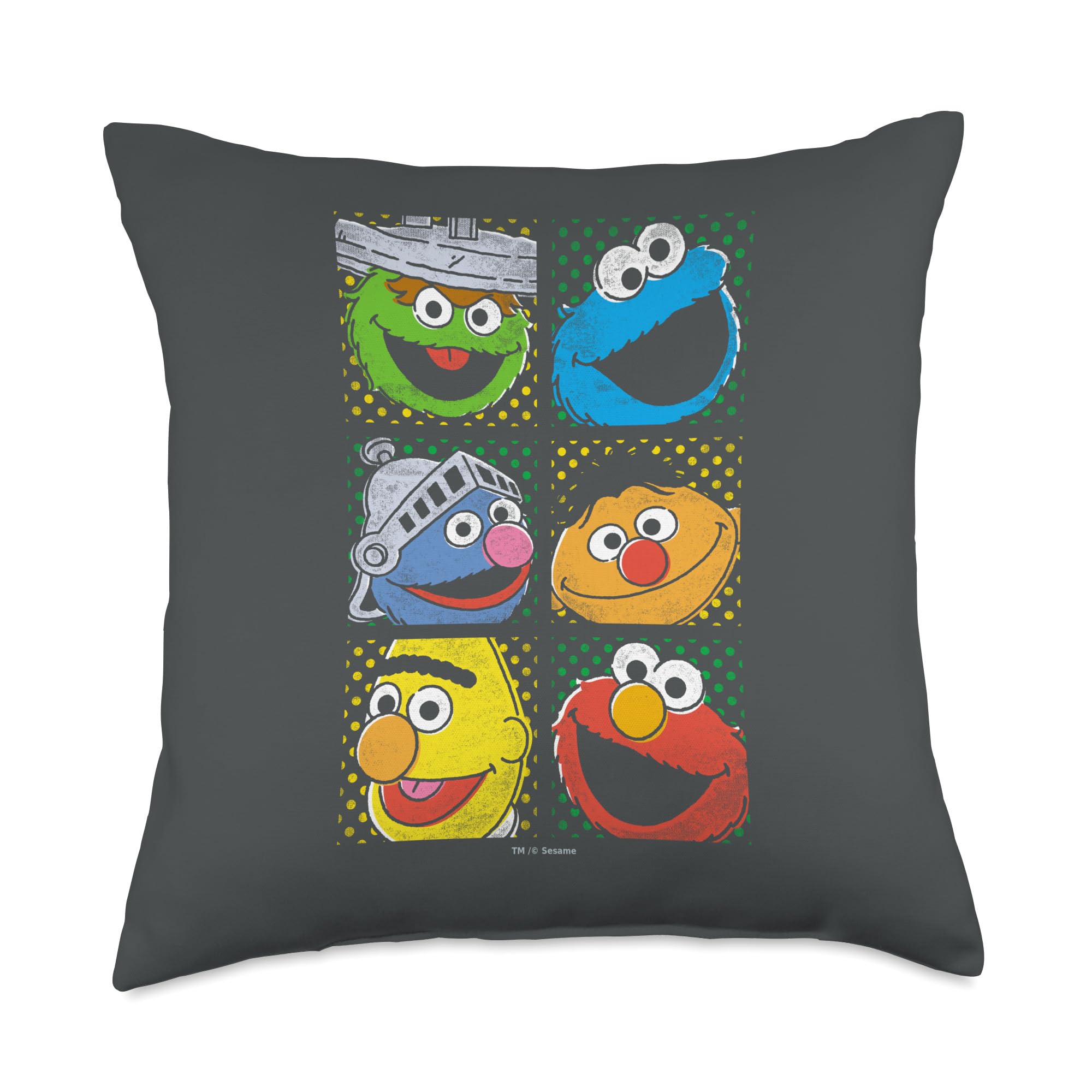 Sesame Street Group Squares Throw Pillow, 18x18, Multicolor