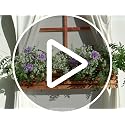 6pcs White Baby's Breath Artificial Flowers - Realistic Faux Gypsophila