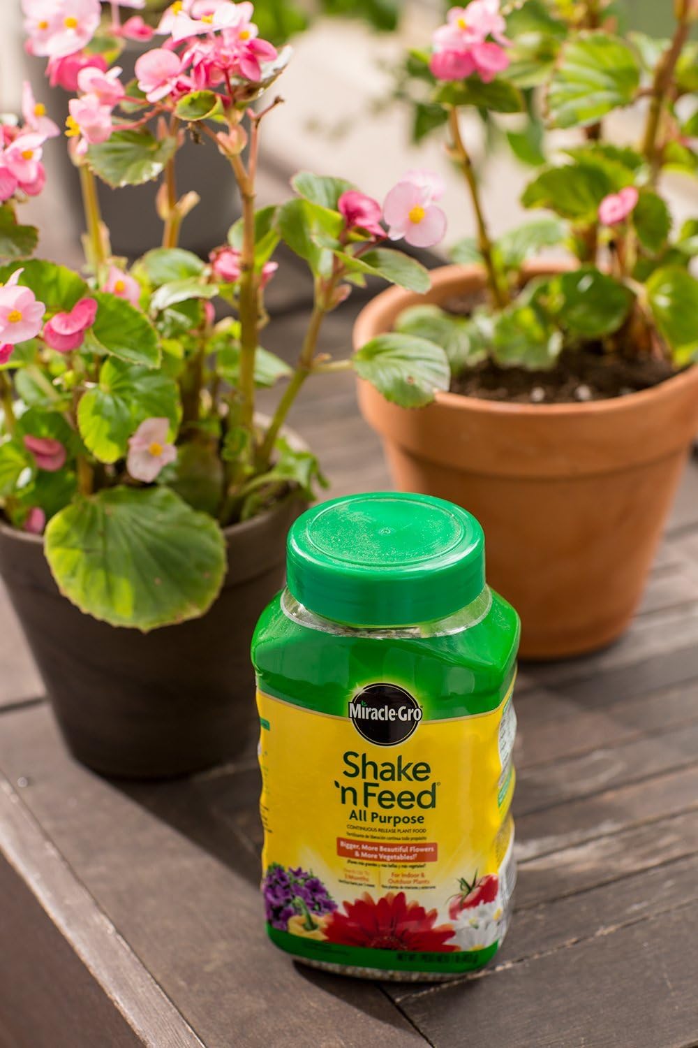 Miracle-Gro All Purpose Plant Food - Continuous Release Fertilizer, 1-Pound for Thriving Plants