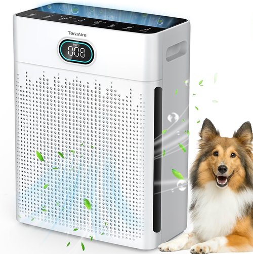 Air Purifiers | HEPA Air Purifier with Pet Mode & Timer for Up to 2200 Ft² - Black
