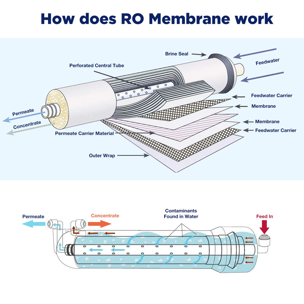 Membrane Solutions 150 GPD RO Membrane, Reverse Osmosis Membrane with Membrane Housing, Replacement for Under Sink Home Drinking RO Water Filter System, Wrench, 1/4" Quick-Connect Fittings,Check Valve