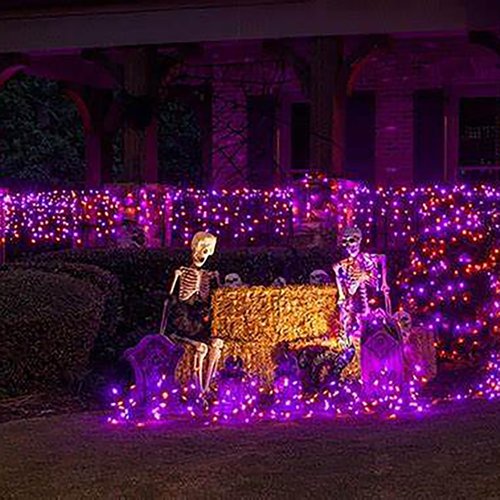 HISHINY Halloween Lights - 100 LED Waterproof 5ft x 5ft Net Lights for Outdoor Decorations | Purple & Orange