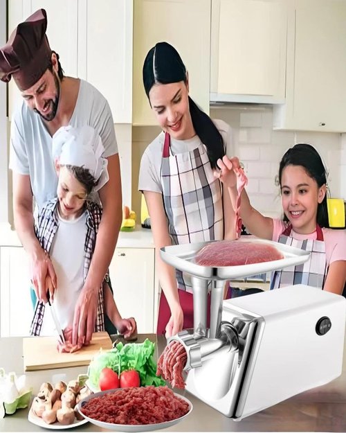 Zuguachi Electric Meat Grinder, Multifunctional Household Food Processing Machine, Stainless Steel White