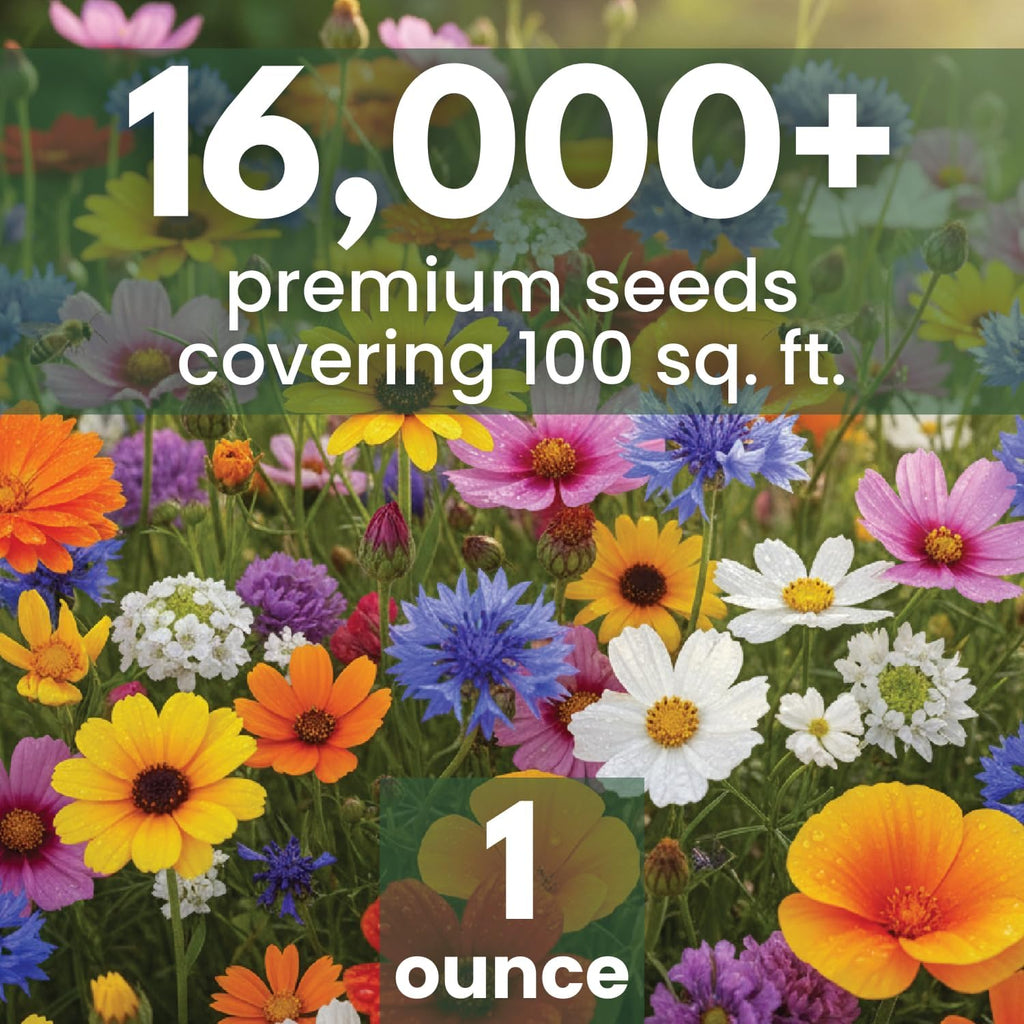 All Annual Quick Blooming Mix - 16,000 Wildflower Seeds for Vibrant Gardens - 1 Ounce Packet