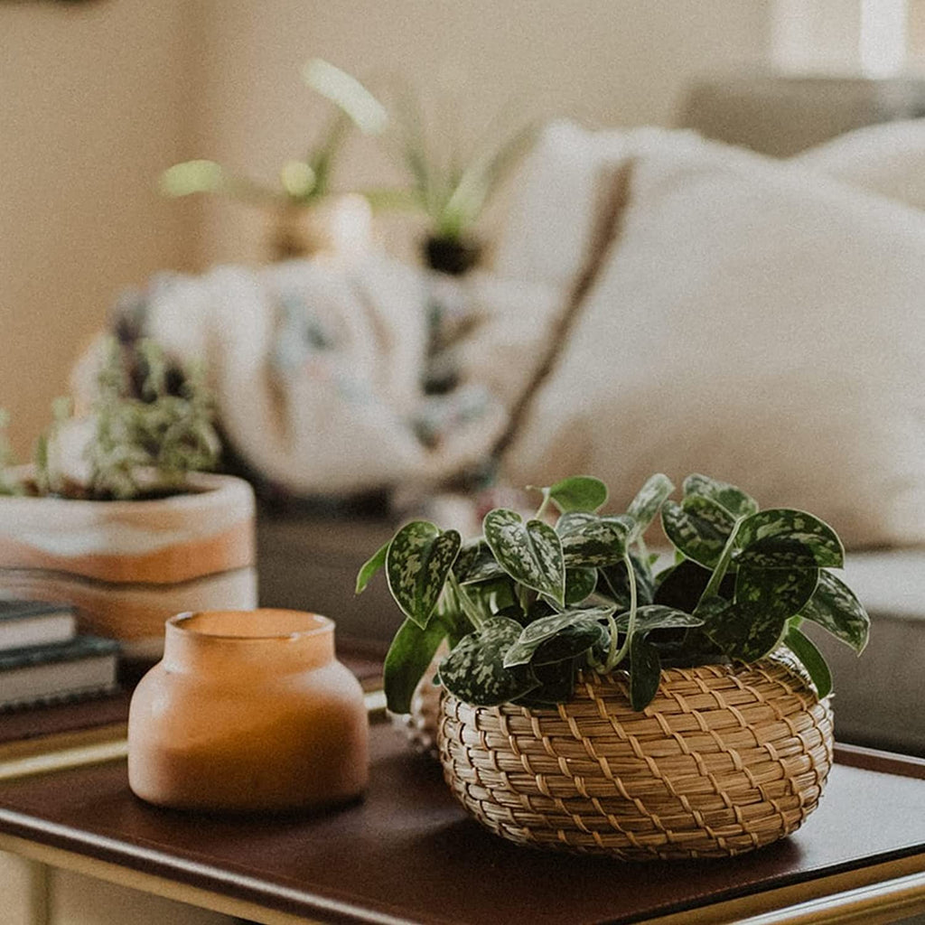 Dicunoy Set of 3 Small Wicker Basket with Lid, Round Woven Seagrass Baskets, Little Handmade Rattan Storage Basket Box for Shelf, Home, Bathroom Decor