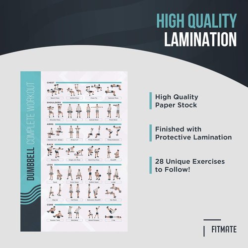 FitMate Dumbbell Workout Poster - Free Weights Exercise Routine Guide for Home Gym (16.5 x 25 Inch)