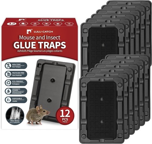 LULUCATCH Mouse & Insect Traps - 12 Pack of Non-Toxic, Heavy-Duty Sticky Traps for Home Use