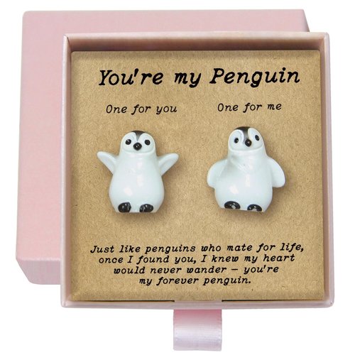 LIMGUVK You’re My Penguin Couple Figurines, Mate for Life Gifts for Couples, Long Distance Relationship & Valentine’s Day, Valentine Gifts for Boyfriend Girlfriend, Couples Gift for Men Women (White)