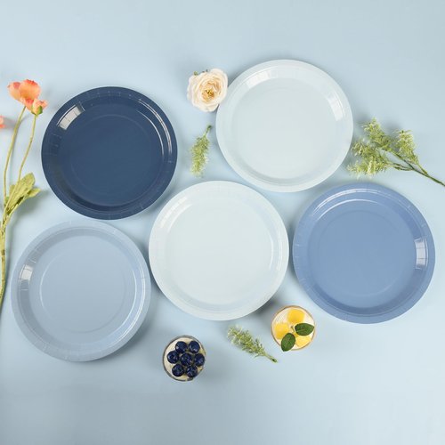 AimFun Dusty Blue Paper Plates Hanukkah Gradient Blue Party Plate 9 Inch Disposable Round Dinner Dessert Plates for Father’s Day Wedding Baby Bridal Shower Party Supplies Tableware Decor