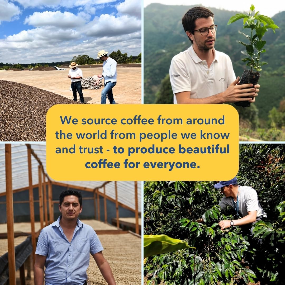 Partners Coffee Roasters - Whole Bean Espresso Coffee - Fruity & Complex Flavor | 12oz, Medium Roast - Lab Tested in NYC