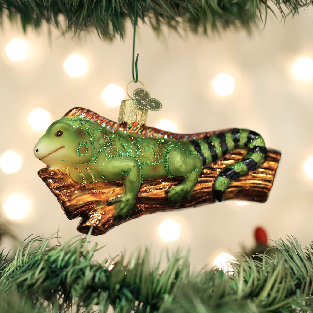 Old World Christmas Iguana Glass Blown Ornament for Christmas Tree, Handcrafted Holiday Decoration, Wildlife Animal Collection