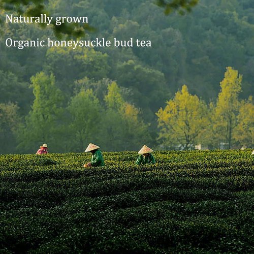 4.23Oz/120g Honeysuckle Buds Organic, 100% Pure Natural Honey Suckle Buds- Hand-Picked and Naturally Dried Honeysuckle Buds (1 Bag)