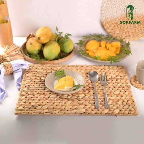 Table Mats Set of 10, Boho Woven Placemats, Individuales para Mesa De Comedor, Easter Farmhous Egreen Placemats, Individuales para Mesa, Table Tyke Placemat, Water Hyacinth Place Mat 17x12