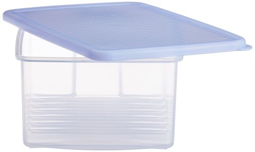 Tupperware Fridge Medium Smart Box, 1.6 Litres (164)