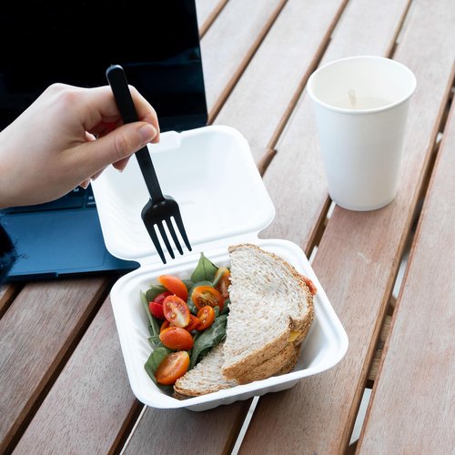 Greenprint 100% Compostable Sugarcane 6x6 Single Compartment Clamshell Take Out Containers - Eco-Friendly, PFSA Free, Disposable To-Go Box for Burgers, Sandwiches, Salads, and Hot/Cold Meals, 500 CT