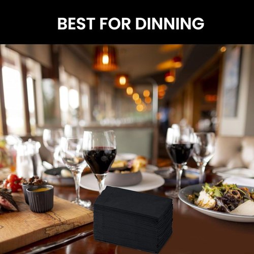 2 Ply Black Dinner Napkins-15" x 17" -1/8Fold - 125 Count (Pack of 8), Total 1000 Count