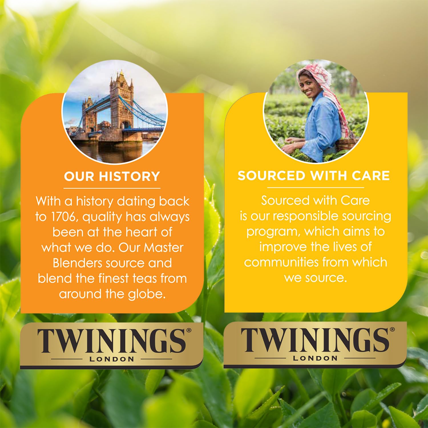 Twinings Chai Tea, Caffeinated Black Tea Naturally Flavored with Aromatic Spices and Ginger, Tea Bags Individually Wrapped, 20 Count Ea (Pack of 2)
