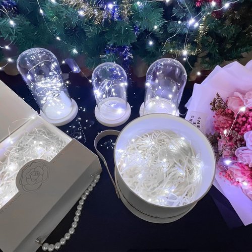 Etinga 20 Pack Battery Operated Fairy String Lights - 10 LED Cool White on 3.3ft Copper Wire | Perfect for Weddings, Parties, and Decorations